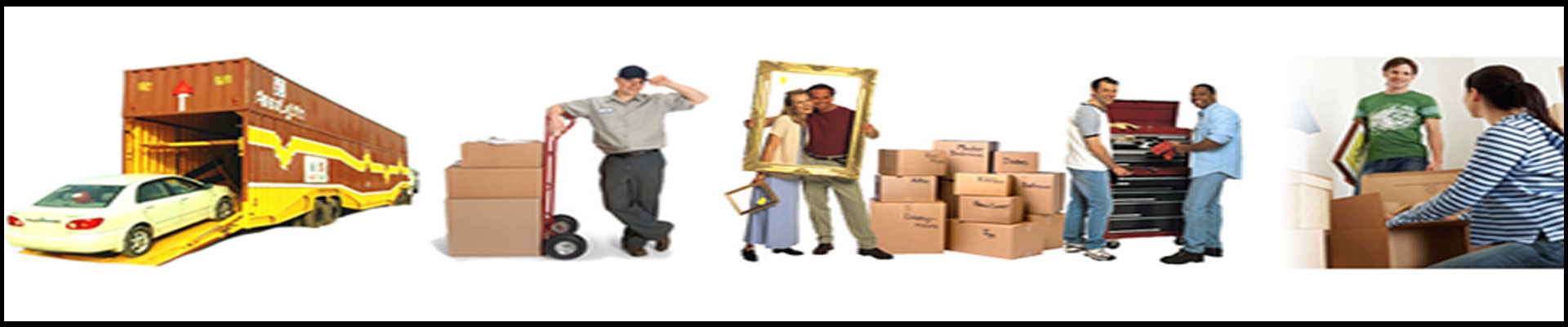 Packers And Movers Noida Sector 115